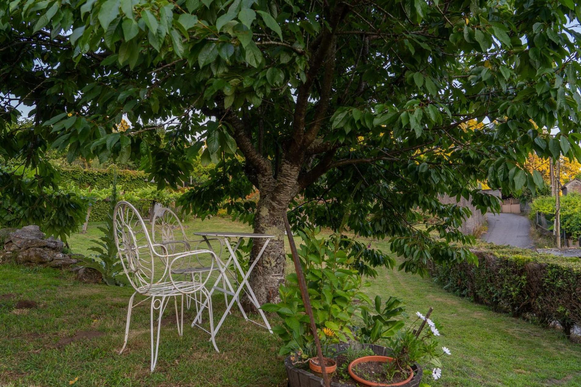 Casa Lameiro เรดอนเดลา ภายนอก รูปภาพ